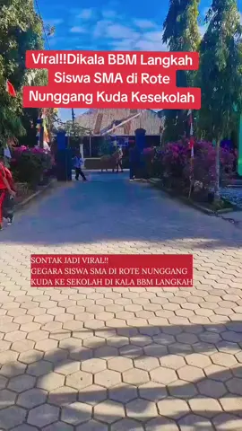 tampak siswa SMA Negeri 1 Rote Barat Laut, Rote Ndao memasuki halaman sekolah dengan menunggang Kuda.  pasca kelangkaan BBM yg terjadi di Rote Ndao berpengaruh terhadap aktivitas masyarakat dan juga pelayanan publik karena ada sebagian orang memilih tidak masuk kantor dan diam di rumah namun, berbeda dengan siswa yang satu ini, kelangkaan BBM tak menyurutkan niatnya untuk bersekolah. ia memilih menunggang kuda ke sekolah ketimbang diam di rumah karena baginya ilmu itu penting dan mahal. ibarat tak rotan akar pun jadi