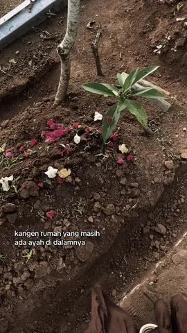 #foryou #cintapertamaayah #imissyou 