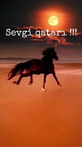 ❤️‍🔥💔