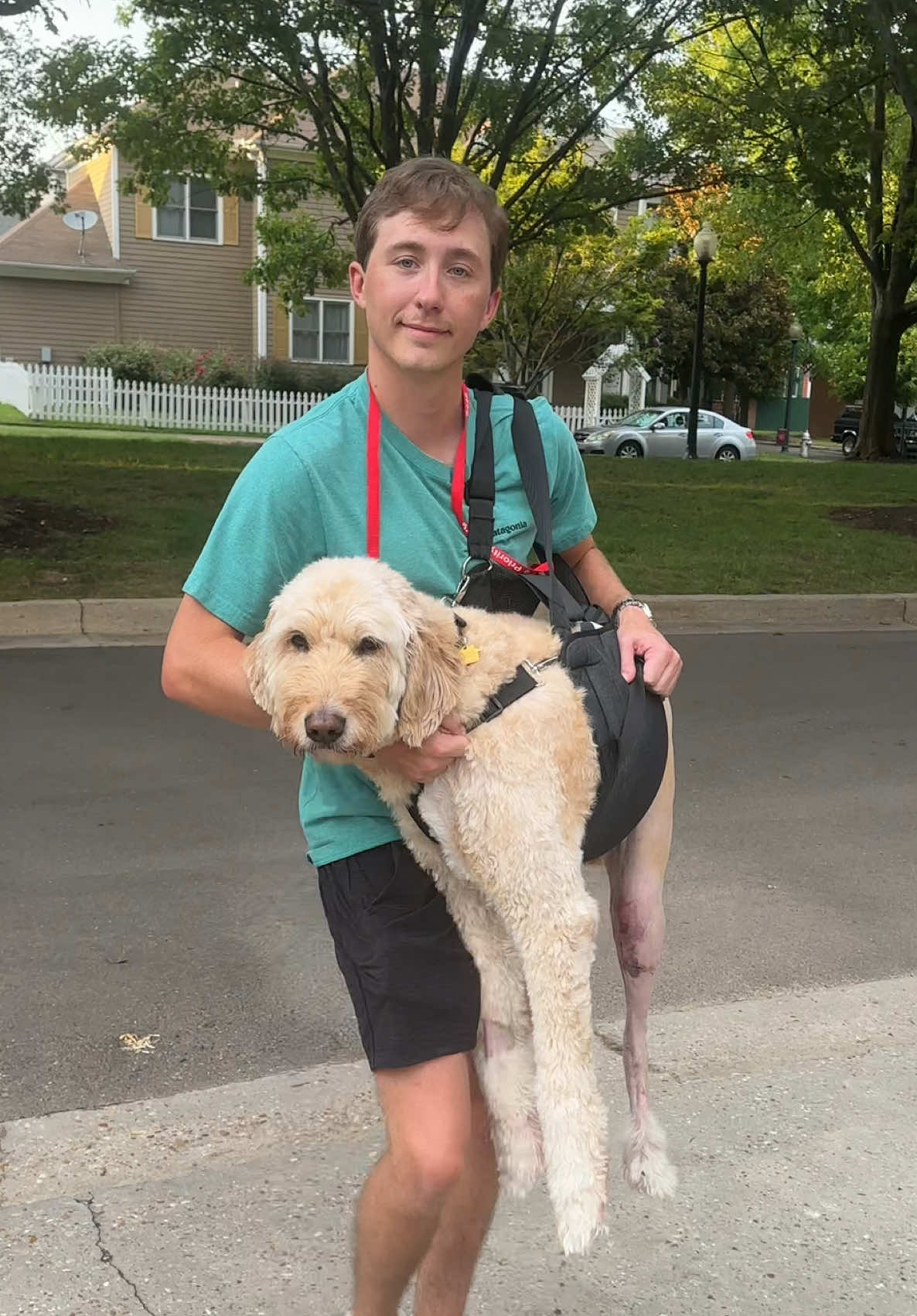 Miller’s road to recovery! Still have a long way to go but we are slowly getting our buddy back to his best self! #tornccl #cclsurgery #TPLO #tplorecovery  
