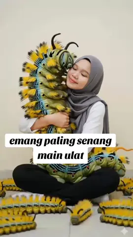 main ulat. #fypp #ulatbesar #ulatraksasa #wanitaulatbulu #ulatbuluterbesar 