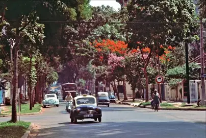 Nhìn lại để thương nhiều hơn một Sài Gòn hoa lệ xưa.  #saigon #saigonxua #1975 #retro #vintage 
