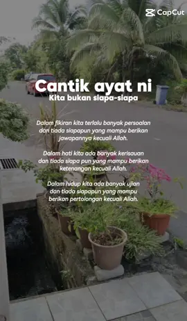 #CapCut 