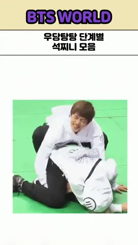 우당탕탕 단계별 방탄소년단 석진이모음