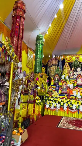 Sau bao ngày mong ngóng con cũng thực hiện được tâm nguyện của mình. 🙏🙏🙏#phadogiatien #tamlinh 