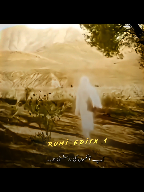 اپ فہر کی وقت کا نور ہے  #tiktokpakistanofficial #foryou #foryoupage 