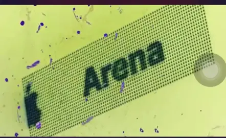 #arena #topboy 