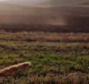 Məqamın uca olsun 💔🥺