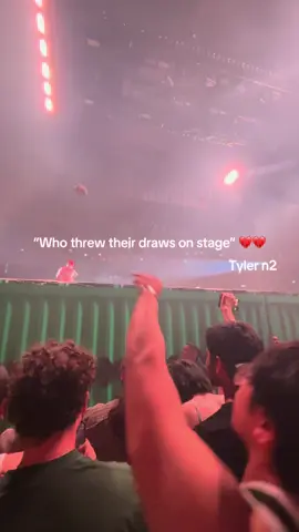 Grab at the end diabolical  @riley 🦦 @kisha #tylerthecreator #sydney #chromakopia #lilyachty #moshpit 
