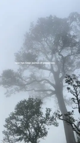 #lewatberandafyp 