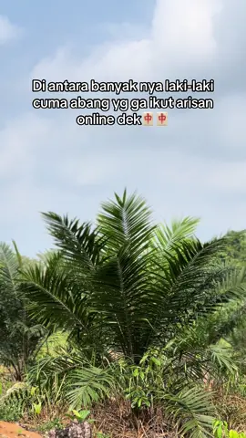 #sawit #fyp #fypage #mahjong #viral 