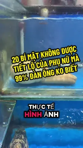 Lưu lại nghe xong chắc sẽ ngộ ra nhiều điều đấy quý ông ah 😅