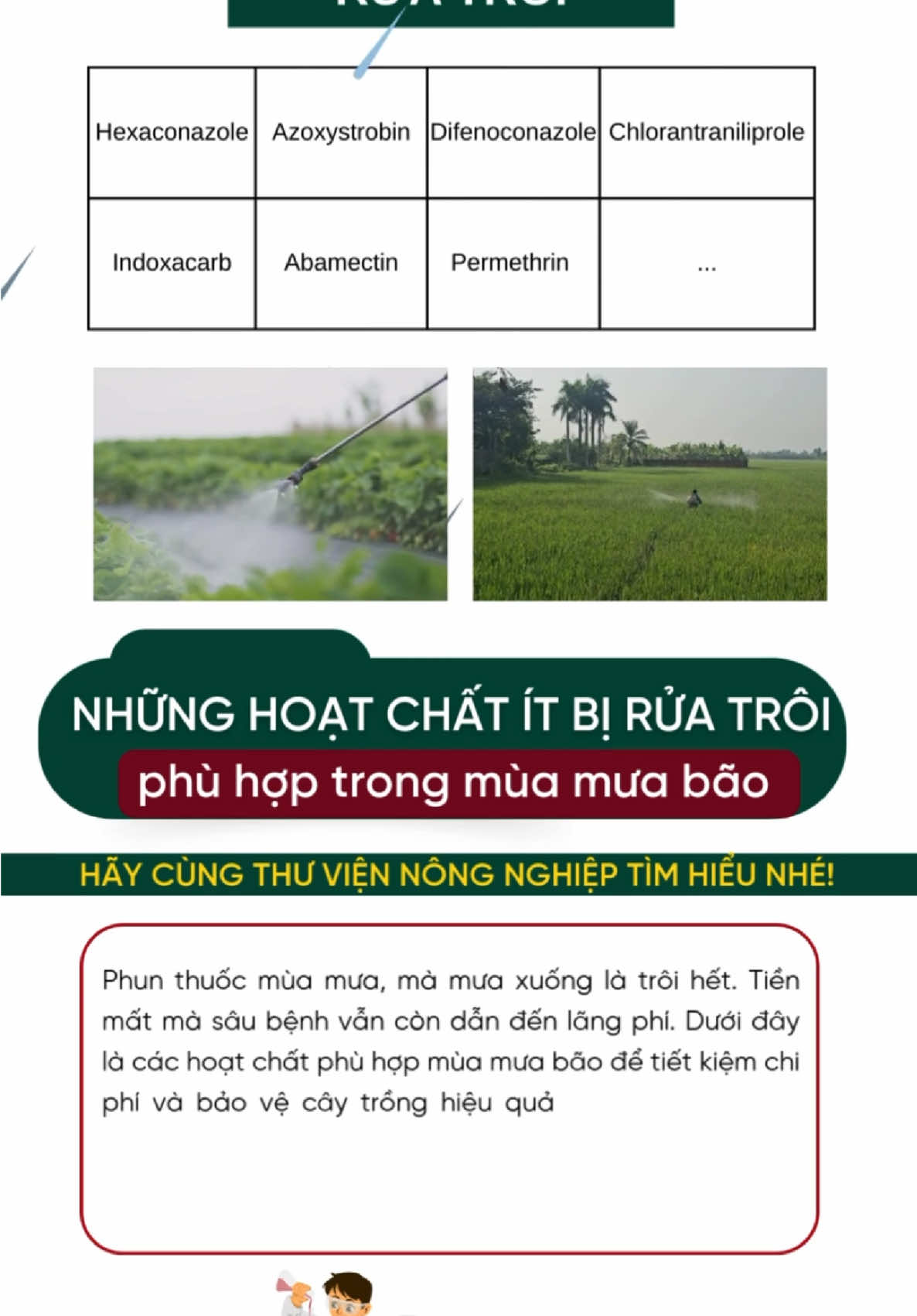Hoạt chất ít bị rửa trôi phù hợp trong mùa mưa bão #thuviennongnghiep #nongdan #caytrong #trending 