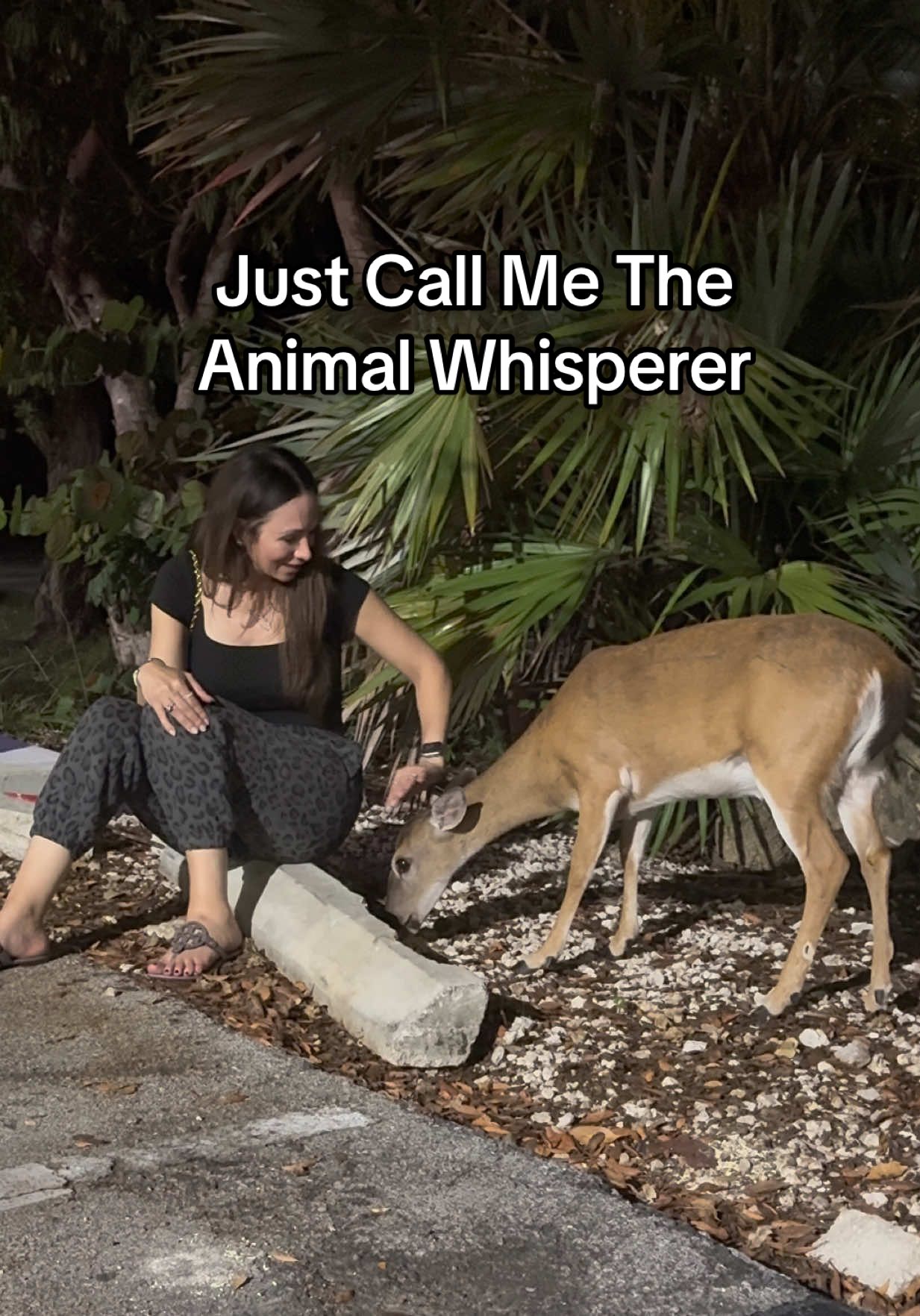 Just call me the animal whisperer.  #fyp #animalwhisperer #keydeer #trending #viral