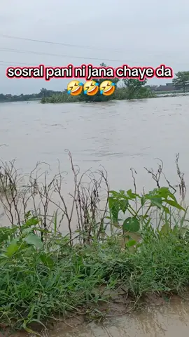 #viralvideo #plzunfrezemyaccount #comedia #foryoupageofficiall #viraltiktok 