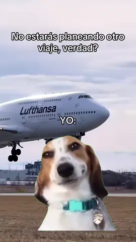 Quien más?? 🤣 ✈️ #fyp #parati #viral #travel #viaje 