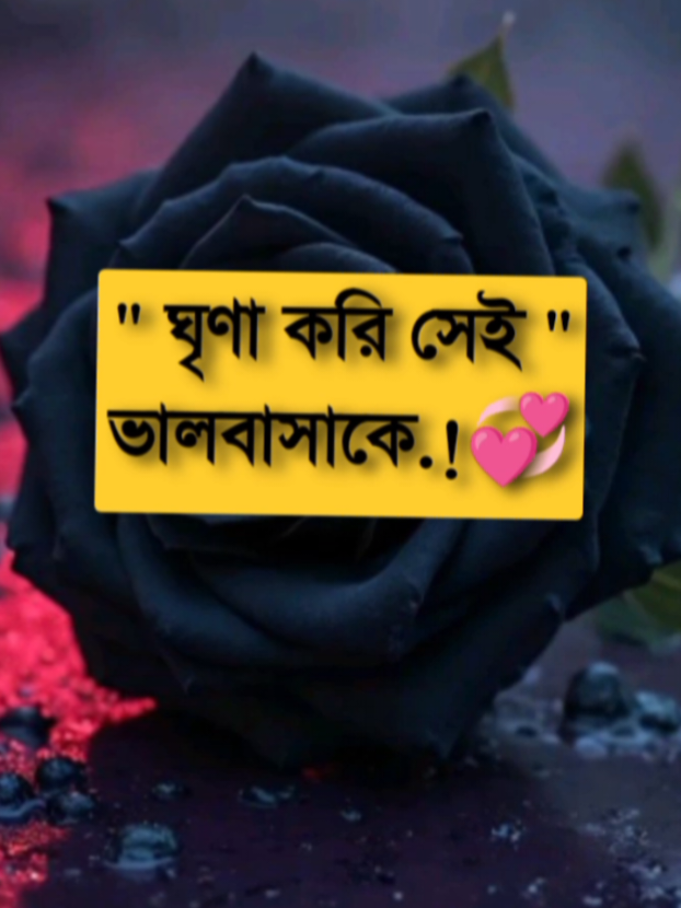 ঘৃণা করি সেই  ভালোবাসাকে #fypシ゚ #pppppppppppppppp #alionfire00 