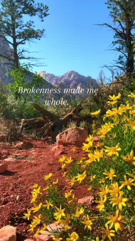 It took me dying to my old ways and trusting in God to fix me so that I may be whole and live the life God intended for me.  #whole #life #brokenness #godisgood 
