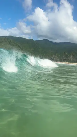 La vida es una sola y hay que disfrutarla  #choroni #venezuela #playasdevenezuela #viraltiktok #caribe 