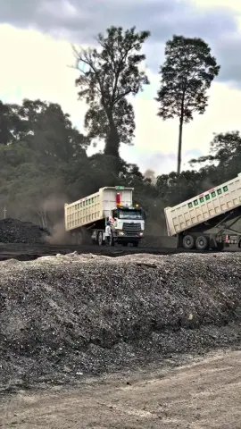 Gacor debunya #haulingbatubara #tambangbatubara #CapCut #tambangbatubarakalimantan #haulingkalimantan #CapCut #tambangbatubarakalimantan #howo480 
