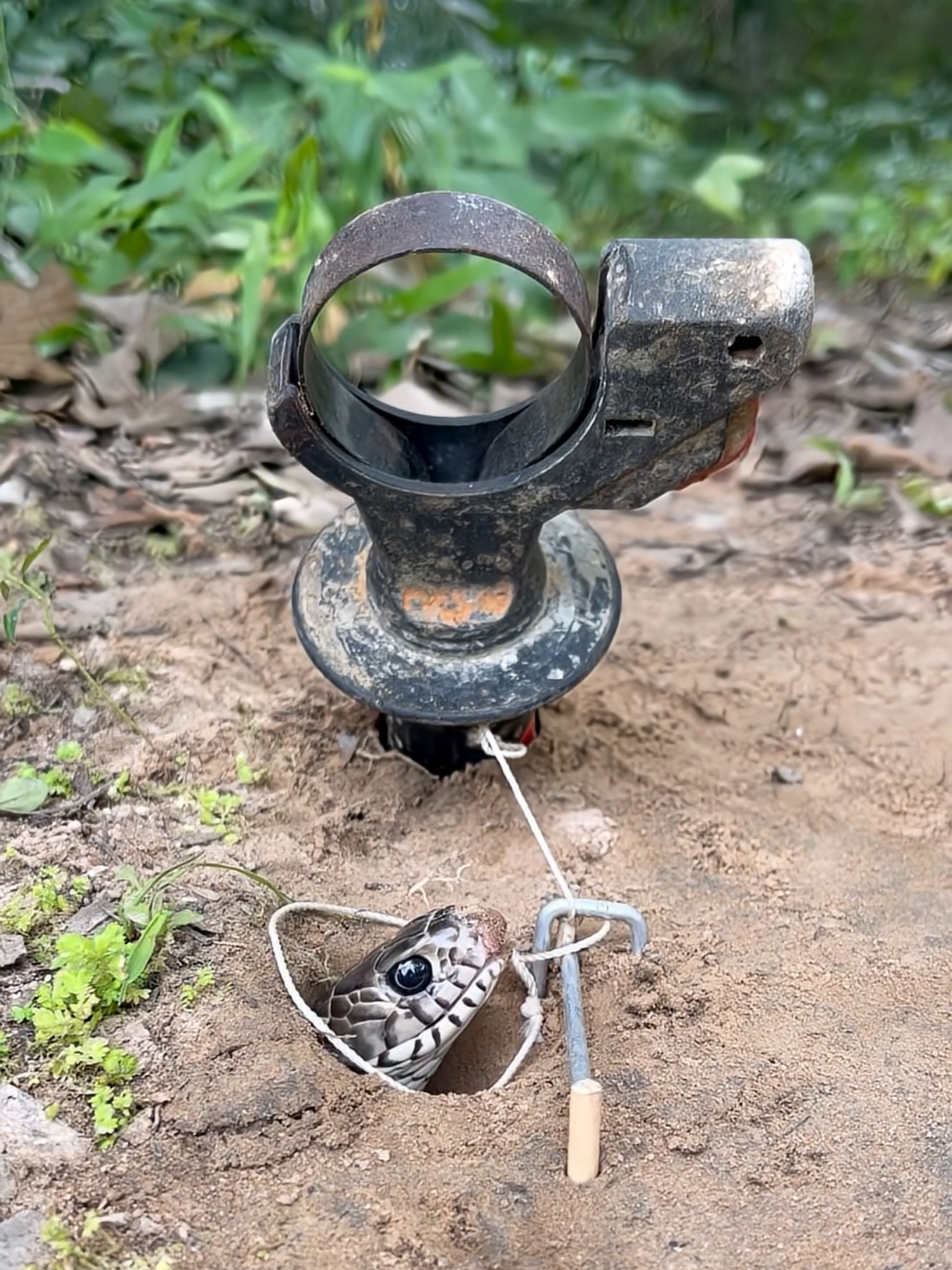 SMART idea and USEFUL With a new snake trap design #camping #survival #idea
