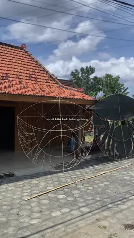 Fomo sik bol, Blackspider gan 2, siap sampul. #layanganbali #ramramanbanyuwangi #layanganindonesia #fypシ #blackspiderman 
