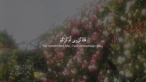 #quran #قران 