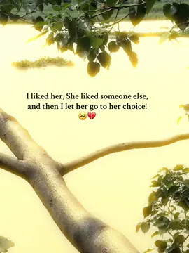 I liked her, She liked someone else, and then I let her go to her choice! 🥺💔#foryoupage #fypシ゚viral #viralvideo #statusvideo #tendingvideo    