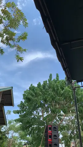Mode Siang😅 #satryalighting #nttpride🏝🔥 #vitaminmalam🍊 #lembatapride🏝🔥 #fyp @𝙊𝘽𝙔𝙉 𝙁𝙇𝙍𝙕🚀 @𝓞𝓶𝓪𝓷𝓭-𝔂𝓸𝓶𝓪𝓷 @caldogzr 