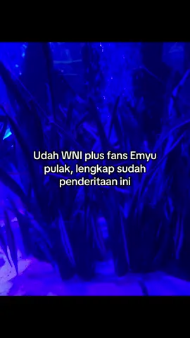 Sama sama bikin muak, turut berduka cita yang sedalam dalam nya untuk yang meninggal kemarin 🙏🏻🥀 #fyp #WNI #manchesterunited #indonesia🇮🇩 #rip 