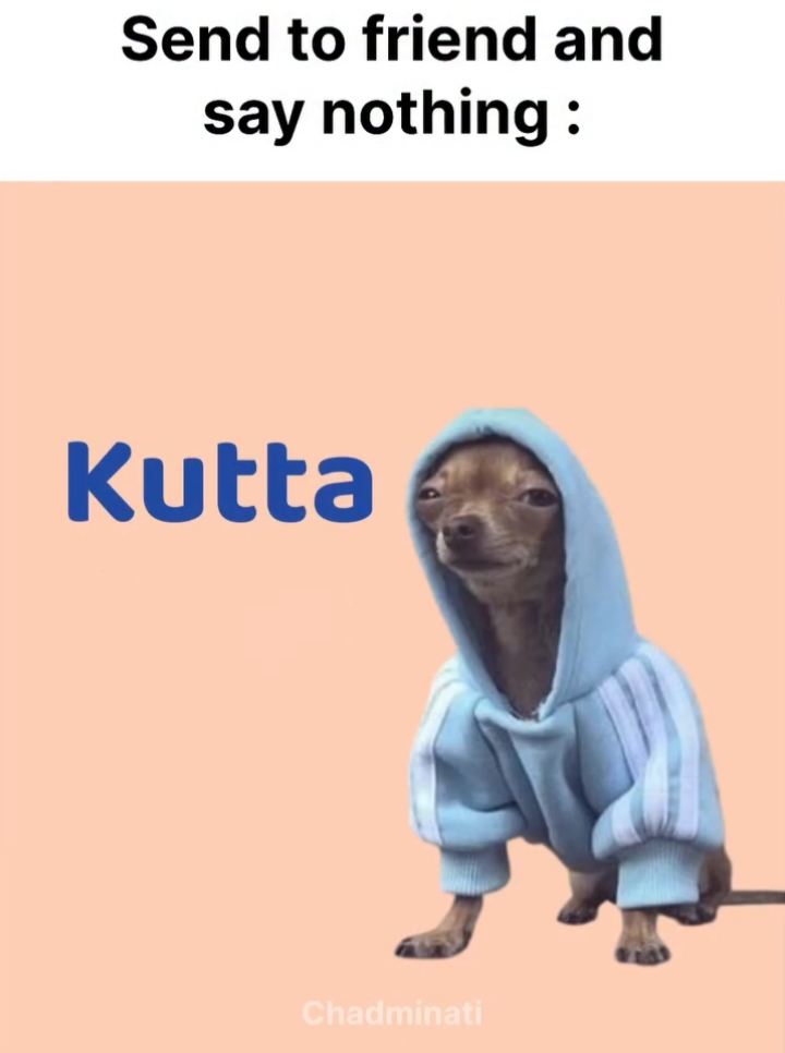 Kutta aaya😂#creatorsearchinsights #fypシ゚ #funny #memes #foryou 