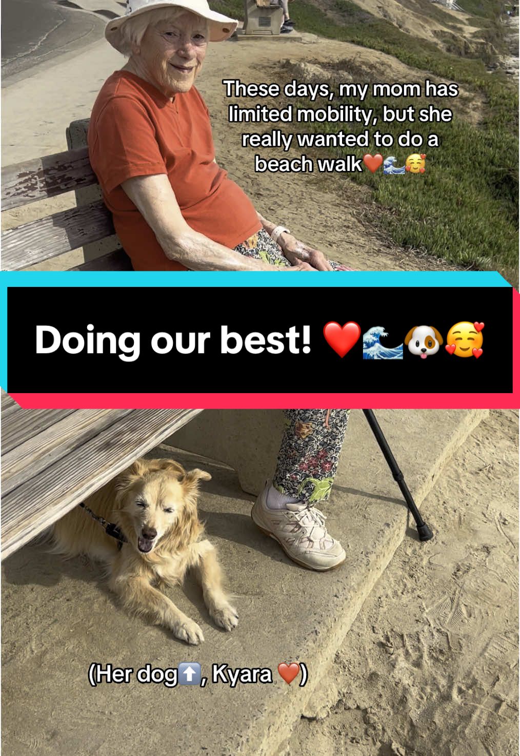 We’re trying to do the best we can to make my mom happy, but dementia is tough—at a minimum 😔 #fyp #mom #dog #windansea #childhood #beach 