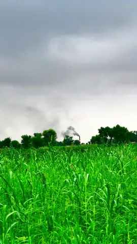 Mosam ⛈️☁️🥀🫶#میرا_سوہنا_شہر_مروٹ🌱✌️ #dont_underview_my_video #foryou #foryoupage #fypシ゚viral #unfrezzmyaccount 