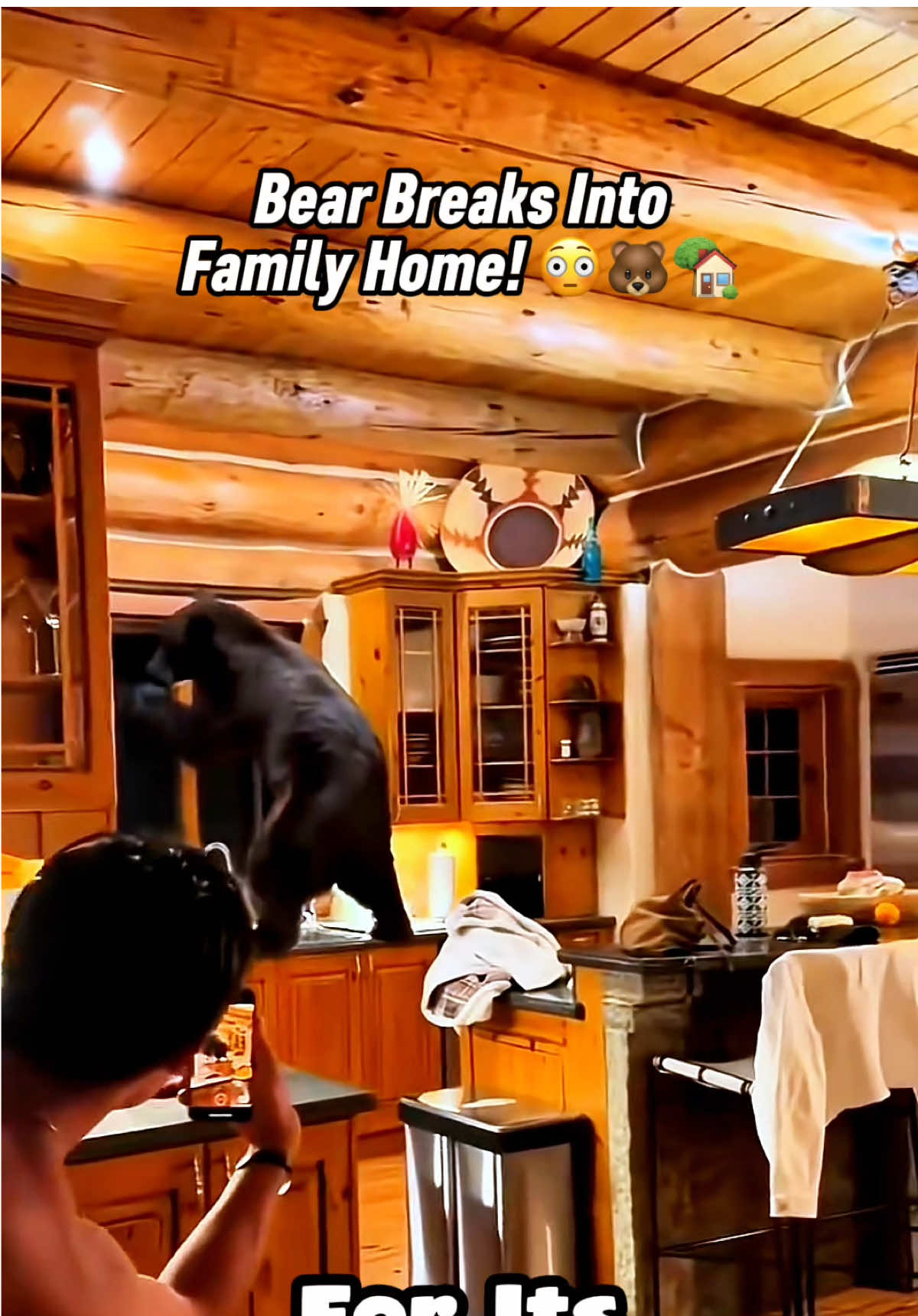Black Bear Breaks Into Family’s Home.. 🐻 Heads Straight for the Fridge! 🍽️😂 At a family’s home in the woods 🌲 a black bear broke in and started exploring the kitchen! The family kept their distance and filmed as the curious bear wandered into the living room, then headed straight for the fridge—standing tall on its hind legs like it owned the place! 🐻🍽️ From there, it climbed up on the counter, pawed at the window, and then—like the most polite intruder ever—headed to the garage door and let itself out! 🚪😂 A wild reminder that black bears are powerful, clever, and always on the lookout for food.. and that locking your doors isn’t just for people! ⚠️ . . . . 🎥 Credit Original footage prior to editing: meezseason on Instagram! 📌🐸 As a solo creator I repurpose public footage & add original commentary, captions, edits/enhancements—reaffirming context/value. #blackbear #wildlife #bearencounter #funnyvideo #nature
