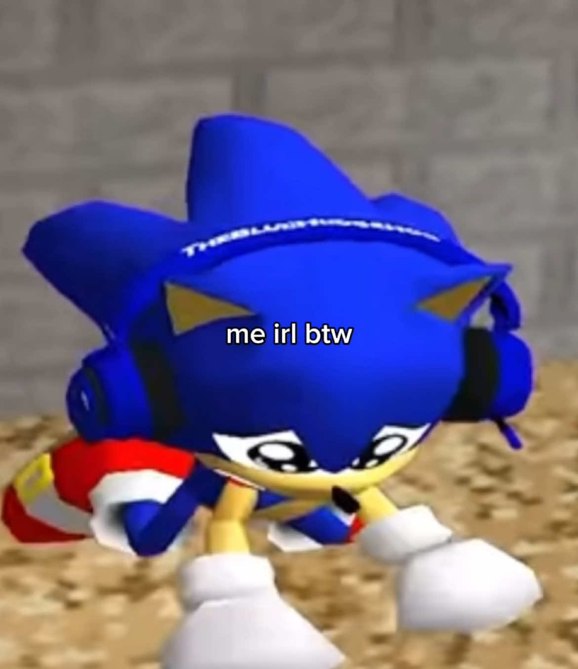 survival instincts of a glass of milk #thebluehedgehog #sonic #sonicthehedgehog #smg #gmod #garrysmod #foryou #foryoupage 
