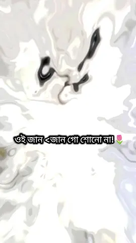 কখনো ছেরে জেও না🥹। ।#ইনশাআল্লাহ_যাবে_foryou_তে #foryoupage #foryou @TikTok 