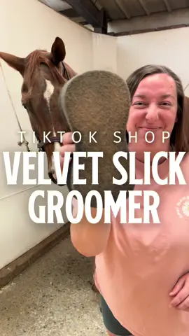 Give your allergies a break😮‍💨 and your horse a good 🧼cleaning!! • • #horsegirl #horsegrooming #horsegroomingtips #horsegirl #horsegroominghacks @Equestroom 