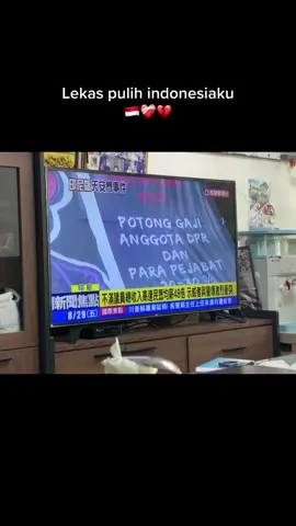 BERITA DEMO INDONESIA SUDAH MASUK MEDIA TAIWAN💔❤️‍🩹#demo #dpr #ojol 