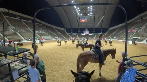 The Wild West? Modern Day Jousting? Nah, just the warmup pen during practice 😜