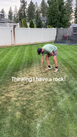 I wish I found a rock… instead I just found really compacted sandy soil. I think this will be a 2026 project haha #lawntools #rock #DIY #lawngestyard 