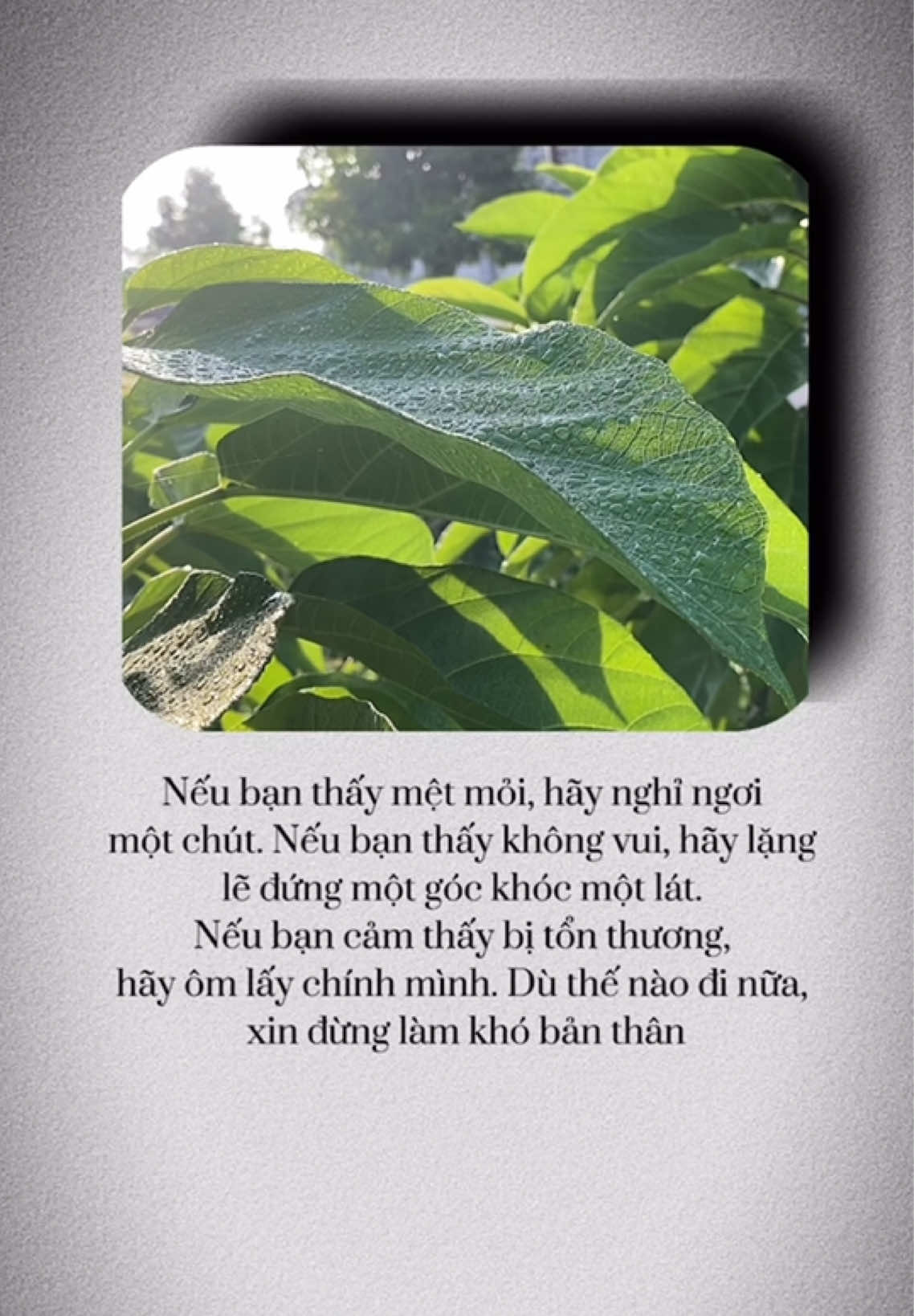 Nếu bạn thấy mệt mỏi, hãy nghỉ ngơi một chút. Nếu bạn thấy không vui, hãy lặng lẽ đứng một góc khóc một lát. Nếu bạn cảm thấy bị tổn thương, hãy ôm lấy chính mình. Dù thế nào đi nữa, xin đừng làm khó bản thân