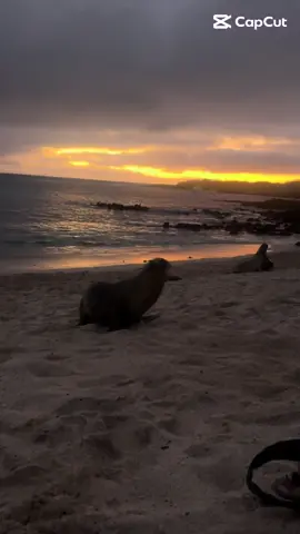 #galapagos #sancristobal 