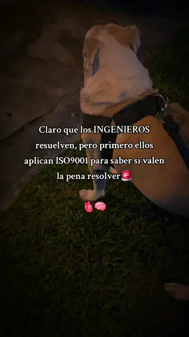#ingeniero #iso9001 #amor❤️ #fypppp #paratitiktok 