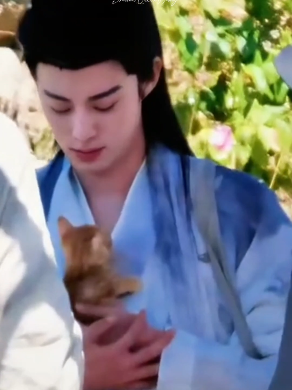 Ese gatito sabe apreciar lo bueno 🥰❤️🤭 #dylanwang #wanghedi王鹤棣 #dylanwang王鹤棣 #cute #behindthescenes 