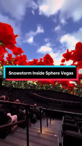 Wizard of Oz World Premiere at Sphere Las Vegas. Crazy special effects with the fully digitally remastered movie. #vegas #lasvegas #vegasstarfish #wizardofoz #sphere 
