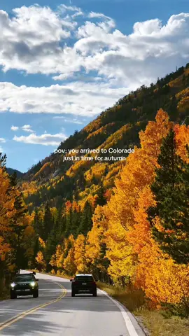 an autumn road trip you’ll think about for the rest of your life 🍂 #colorad #fallfoliage #travel #roadtrip #starshollow 