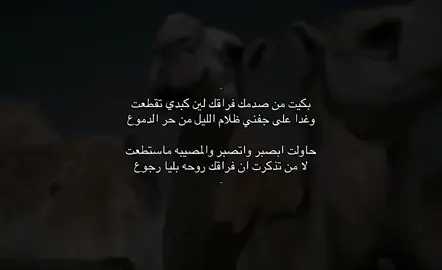 اي فذمتي 💔.                                                   #الافلاج #fyp #اكسبلور؟ #فقيدي #الخرج #الفقد 
