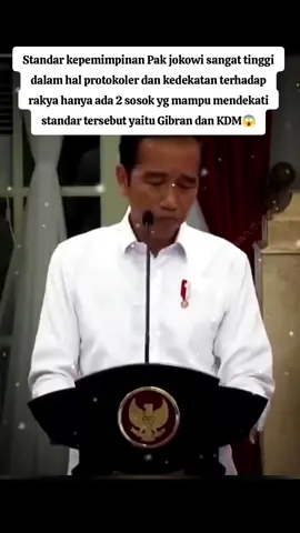 #fypシ゚viral #jokowipresidenterbaik 