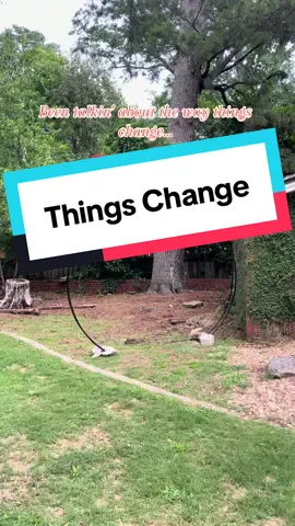I built this garden from the ground, up 💪🏾…(pun intended) lol….Welcome to Terranova! Let’s grow together 💕🌱#inthegarden #buildingterranova #garden #yesyoucan #growwithme 