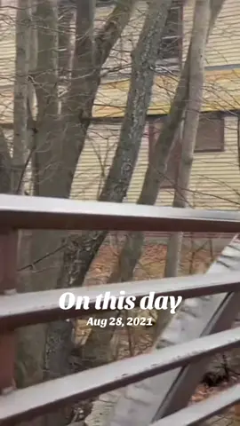 #onthisday 